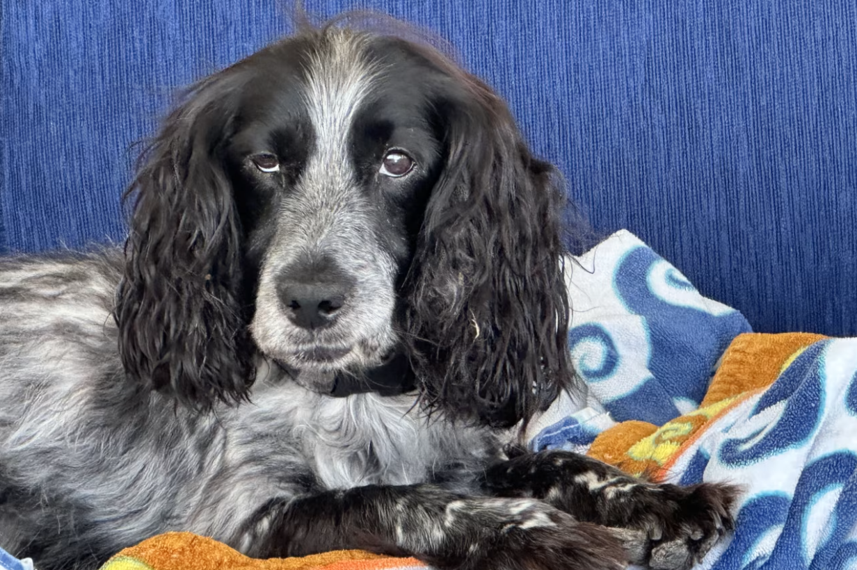 8ad244336ae56a7d5cec581560f69cc7